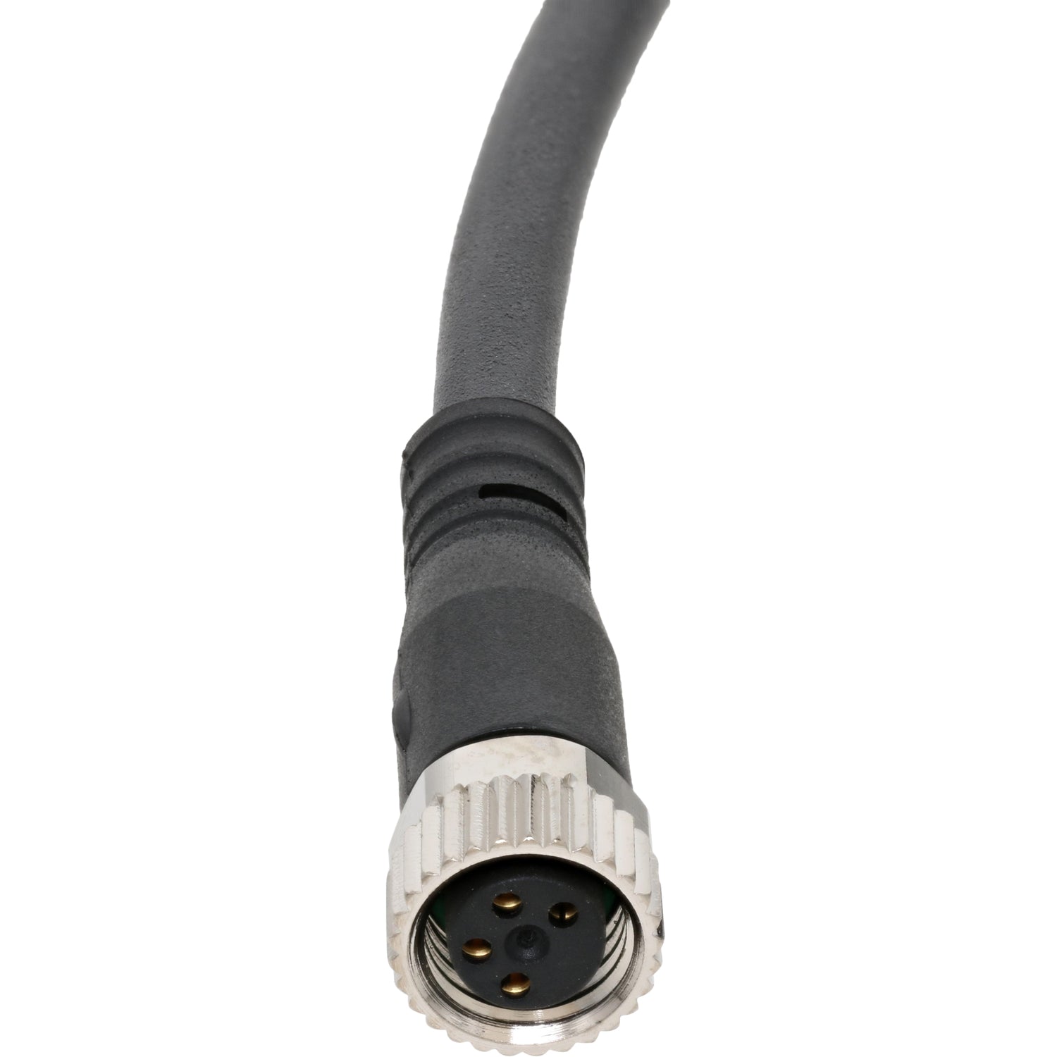 Black four pin connecting cable with a nickel plated female connector on white background.