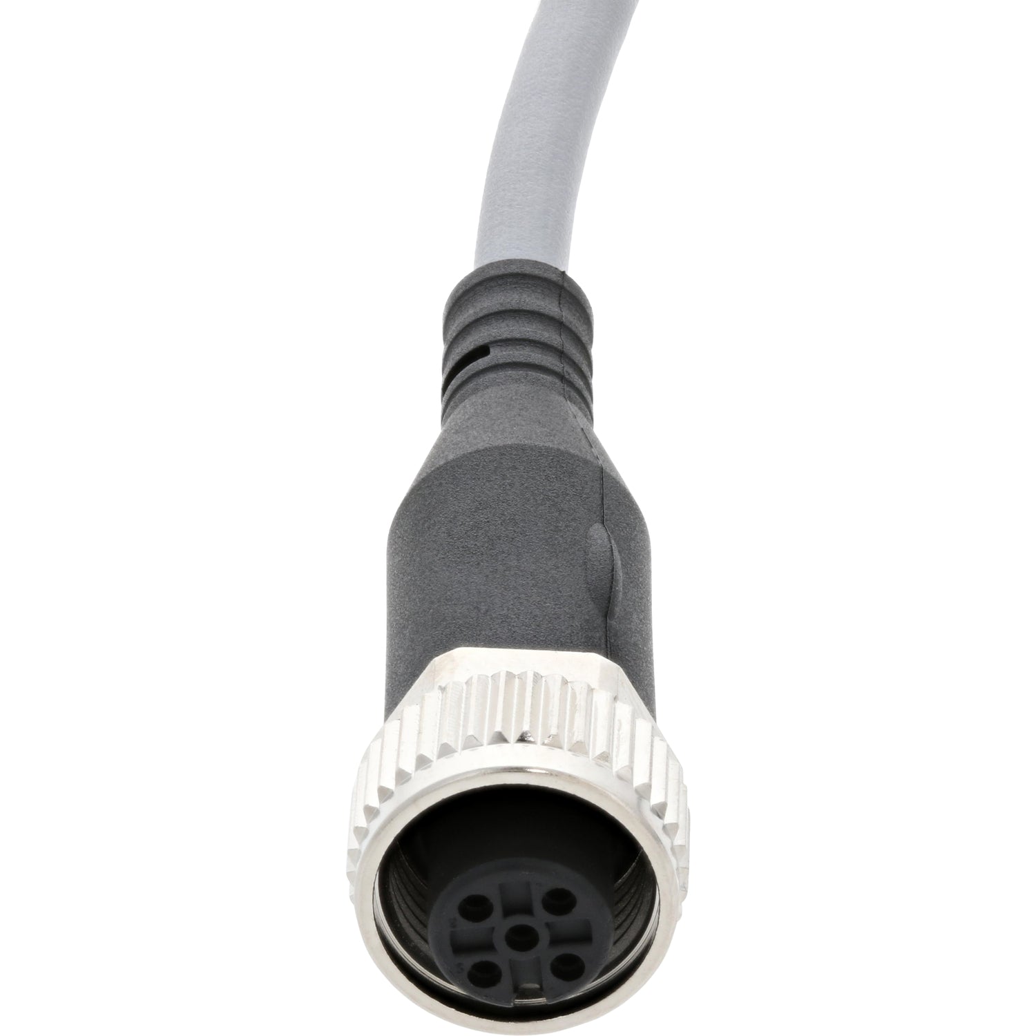 Grey connecting cable with molded female five pin plug. Cable is shown on white background.