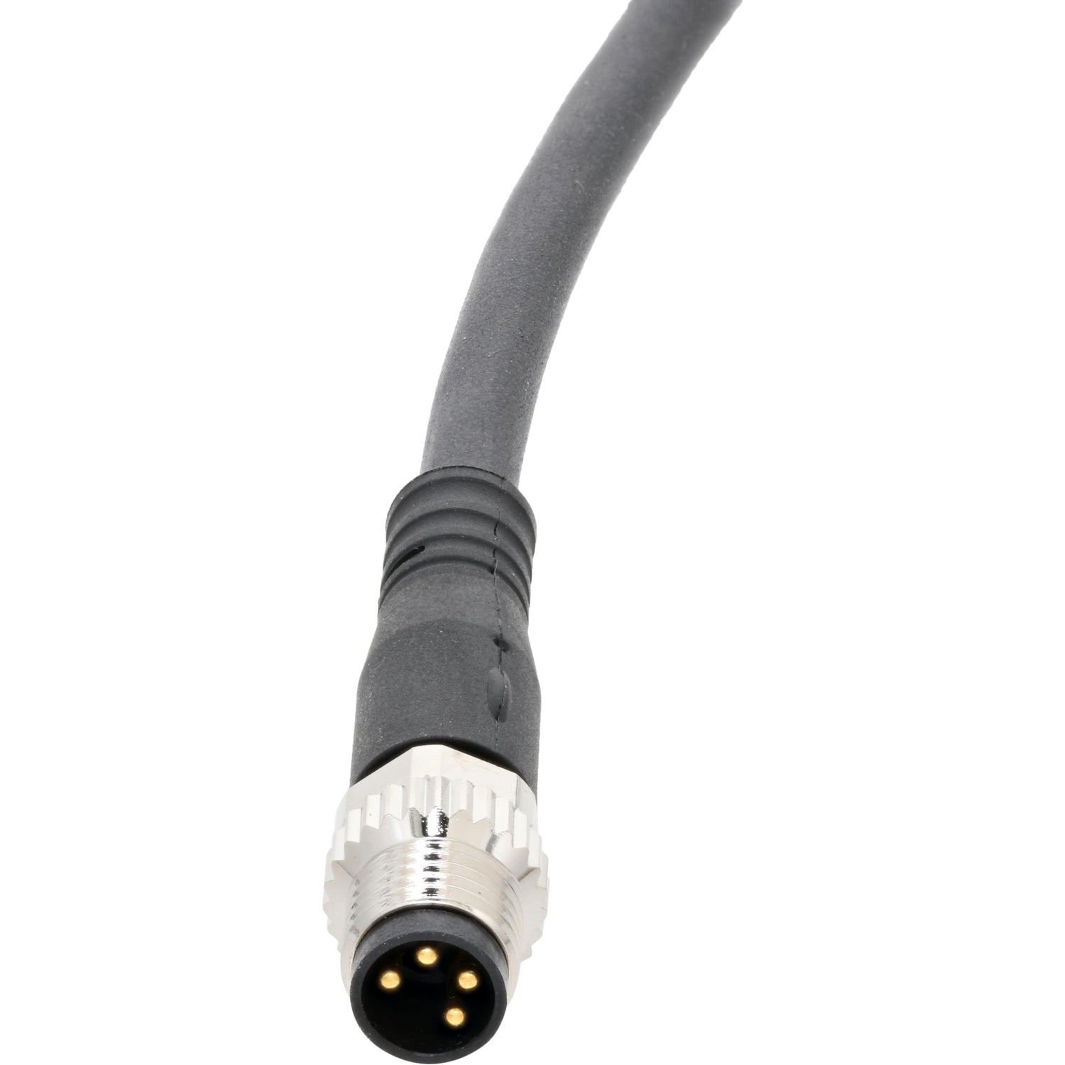 Black connecting cable with four pin nickel plated male connector on white background. 