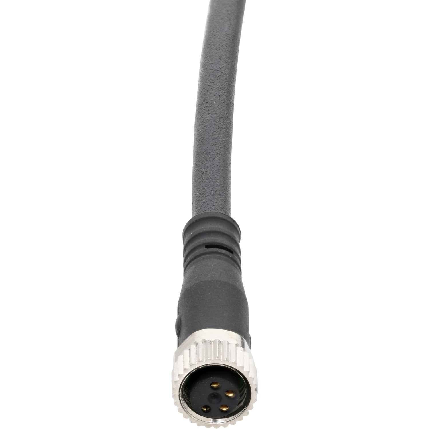 Black connecting cable with four pin nickel plated female connector on white background. 