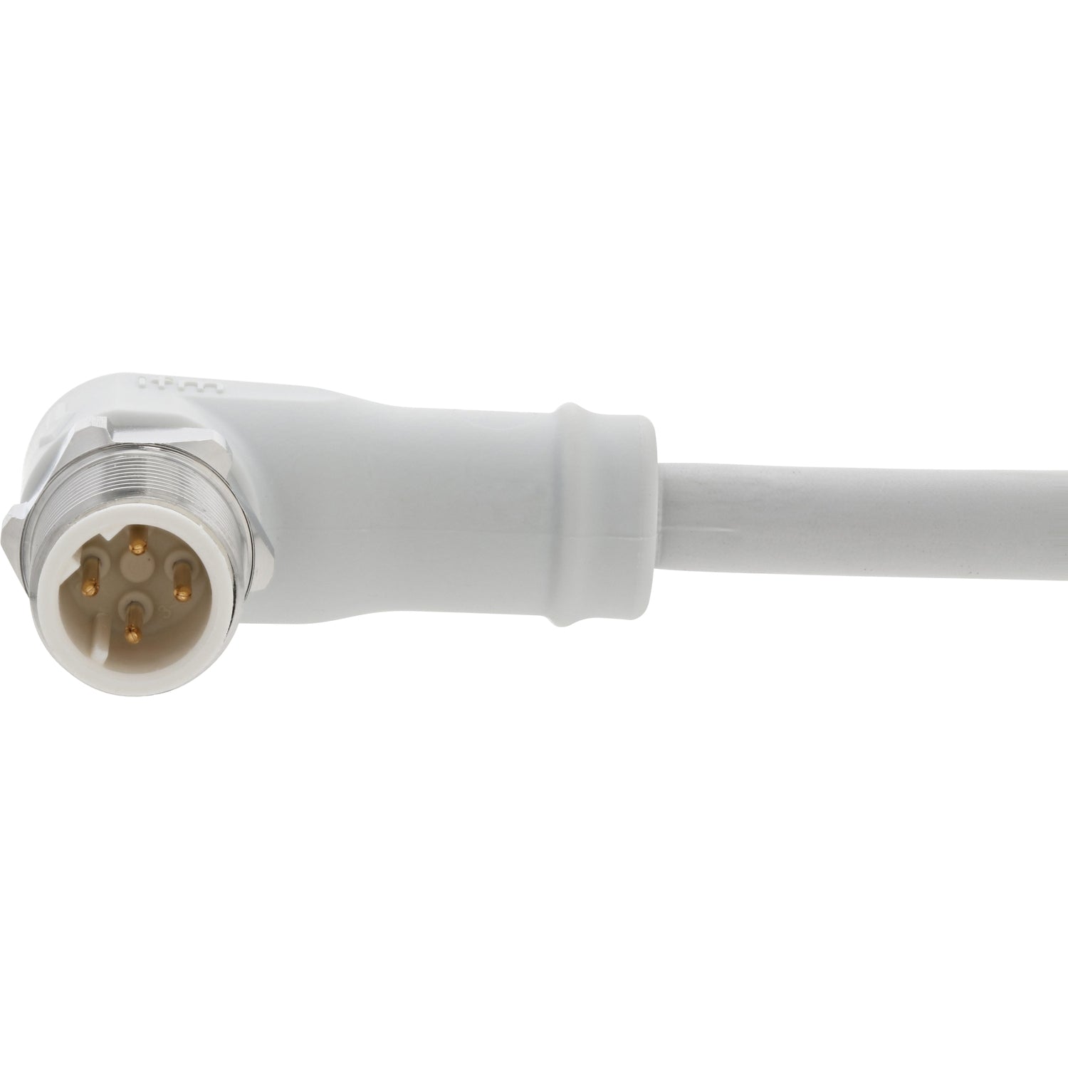 White coiled Ethernet connection cable with 90 degree molded ends on white background.