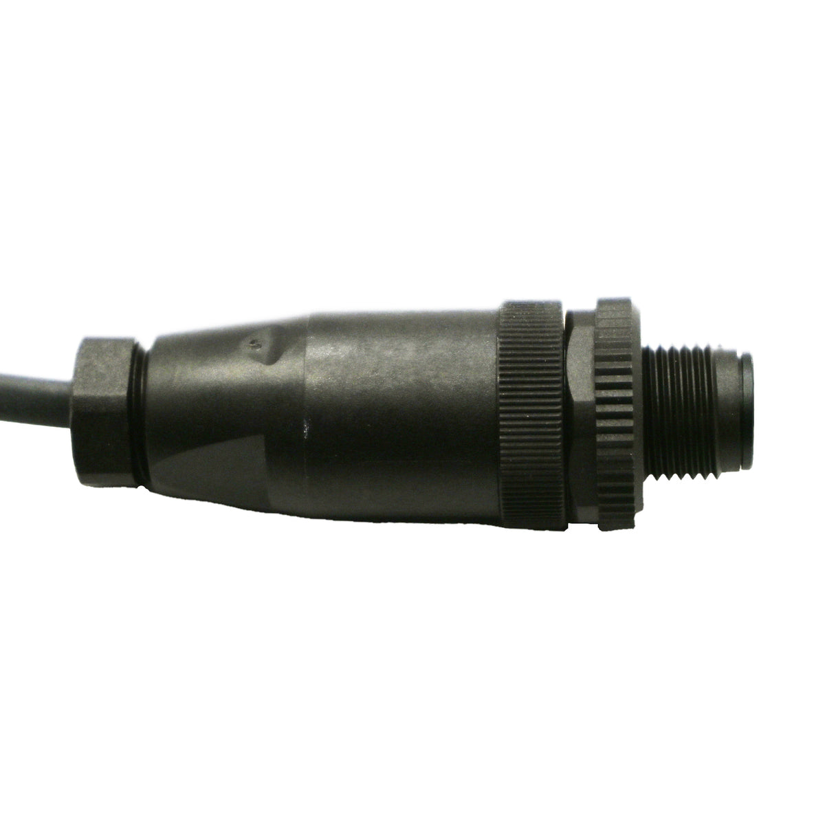 Black 4 pin M12 male quick connect on white background. 