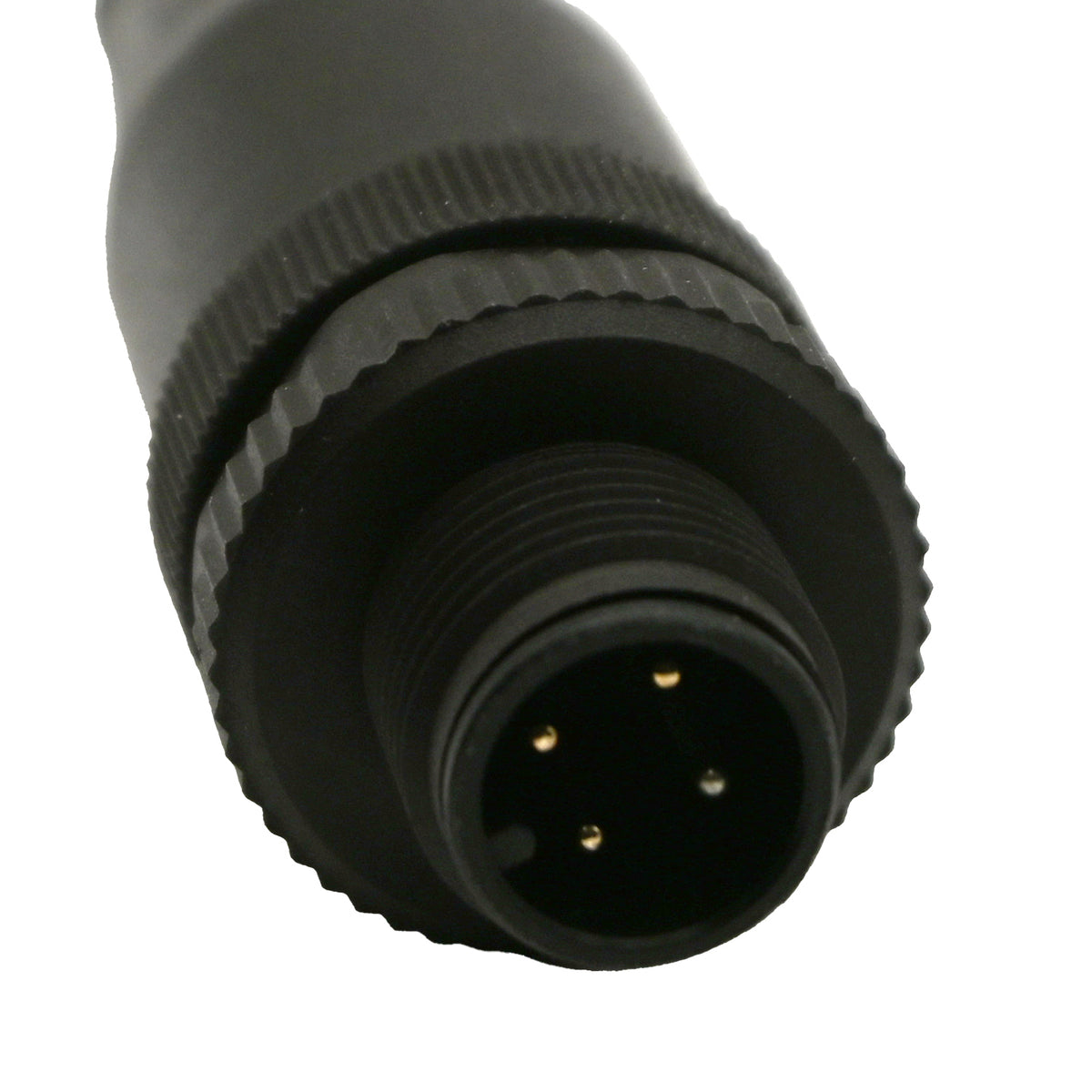 Black 4 pin M12 male quick connect on white background. 