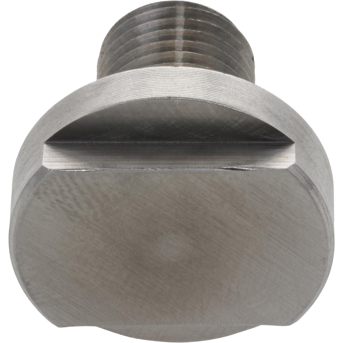 Stainless steel threaded screw with machined flats on white background. 