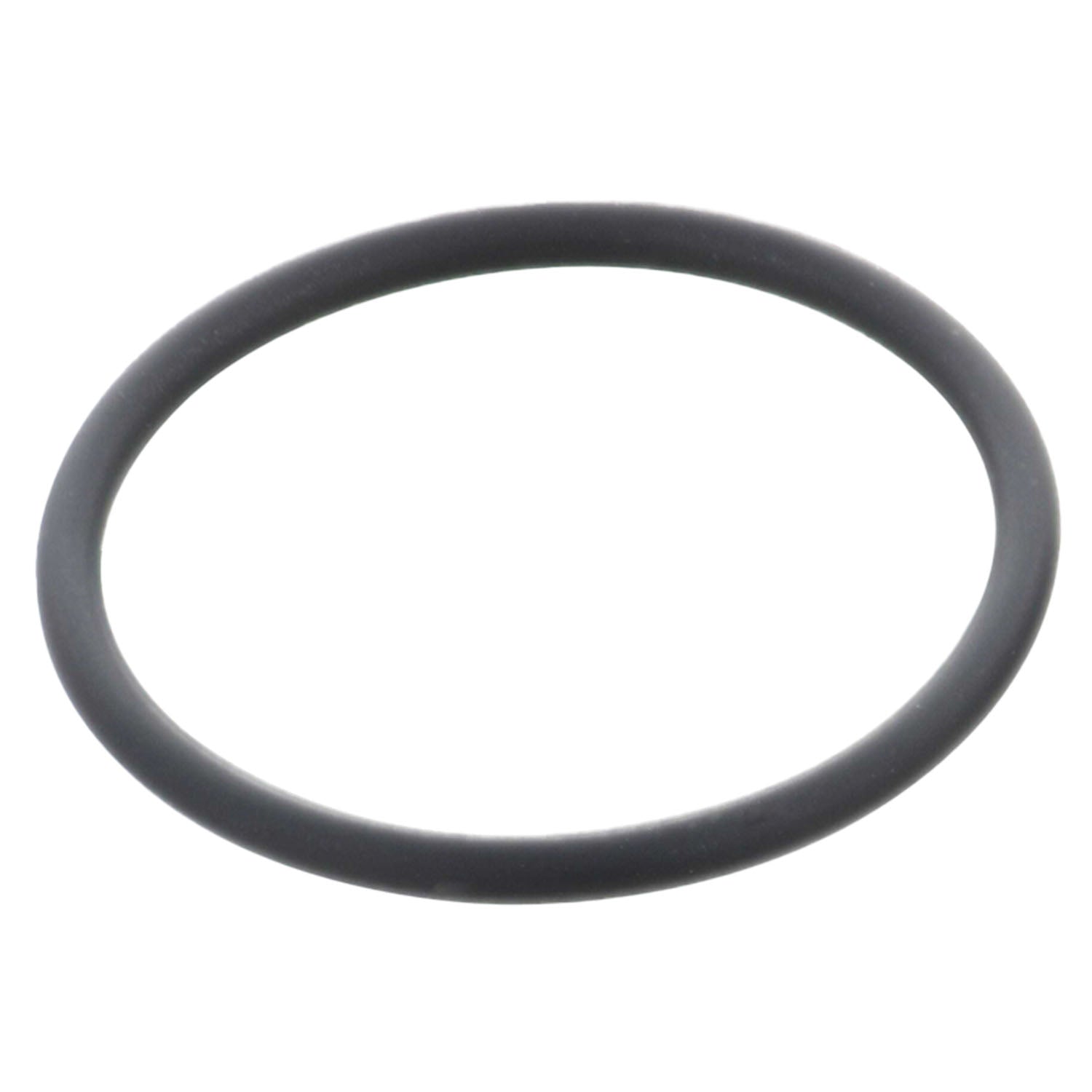 Thin, black rubber o-ring on a white background