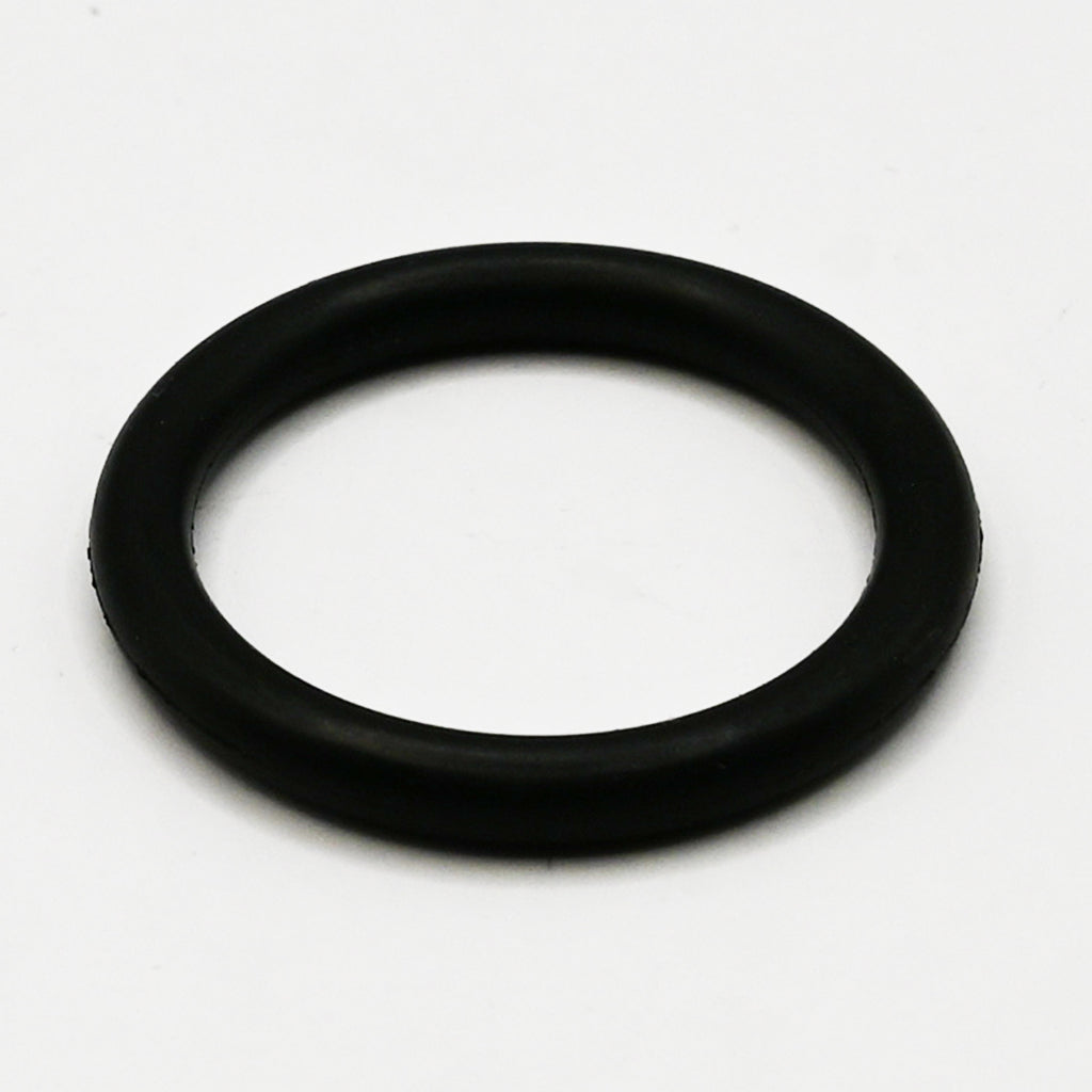 Black rubber O-ring on white background