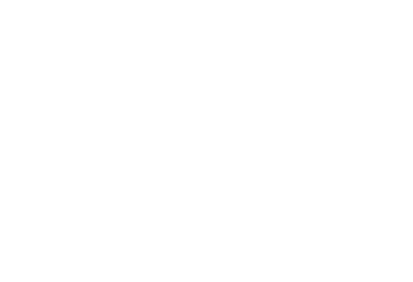 White, Double-headed goose spreading its wings above bold, white Wild Goose Filling text